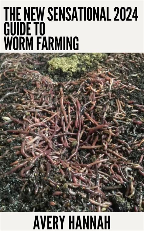 The New Sensational 2024 Guide To Worm Farming: Getting Started With ...