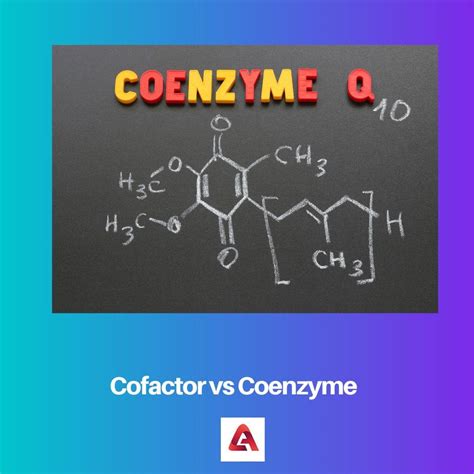 Cofactor vs Coenzyme: Difference and Comparison