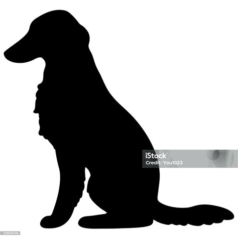 Image result for 2nd Grade Science Fair Projects