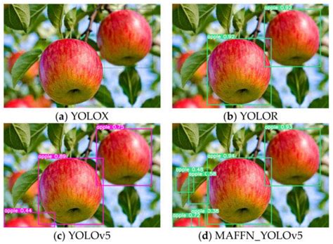 MAFFN_YOLOv5: Multi-Scale Attention Feature Fusion Network on the ...