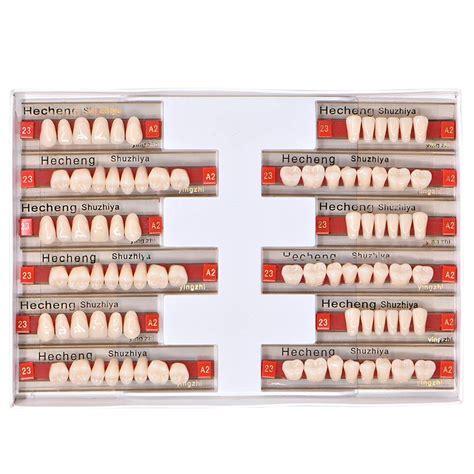 84 Pcs Dental Complete Acrylic Resin Denture False Teeth 3 Sets ...