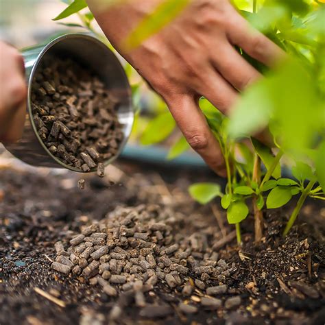 Hot Organic Fertilizing
