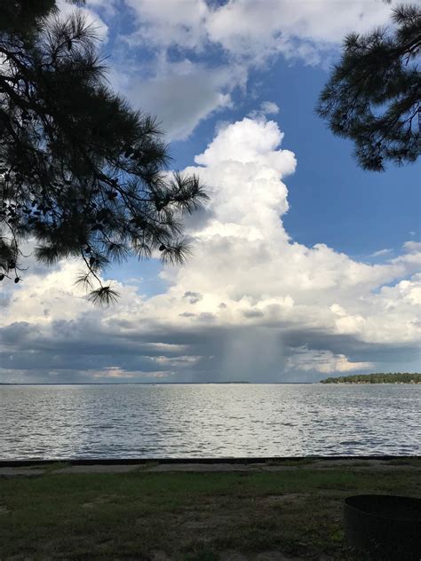 Wolf Creek Park | The Dyrt