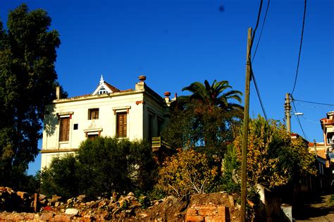 Image result for Best Examples of Local Colors