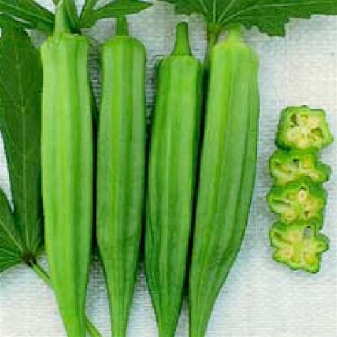 Green Okra Clemson Spineless at Edward Johns blog
