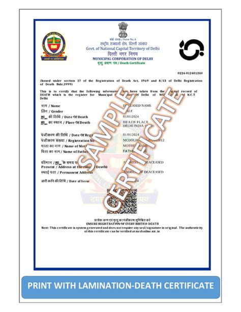 Efficient Documentation Consultancy – Pro Digital Bharat Services ...