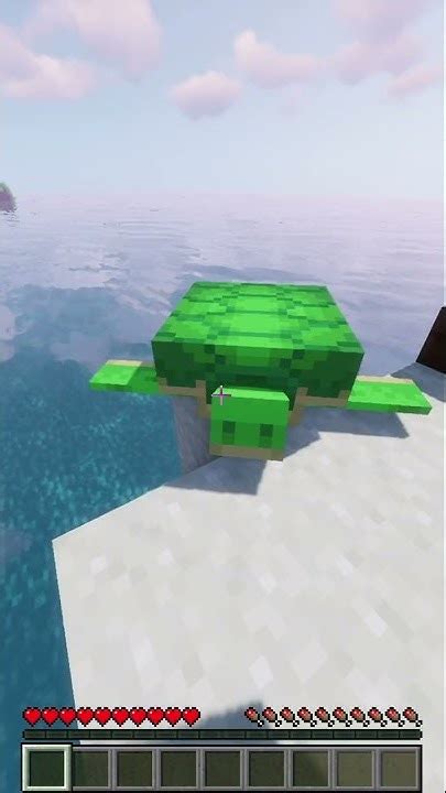 Turtle Tutorial Minecraft 的图像结果