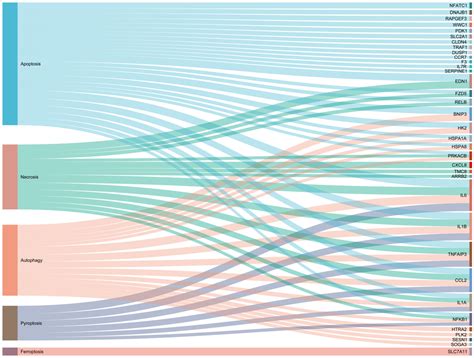 Modulatory Effects of Regulated Cell Death: An Innovative Preventive ...