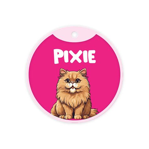 Customized Cat Id Tags - Persian (Golden) – Pawsindia