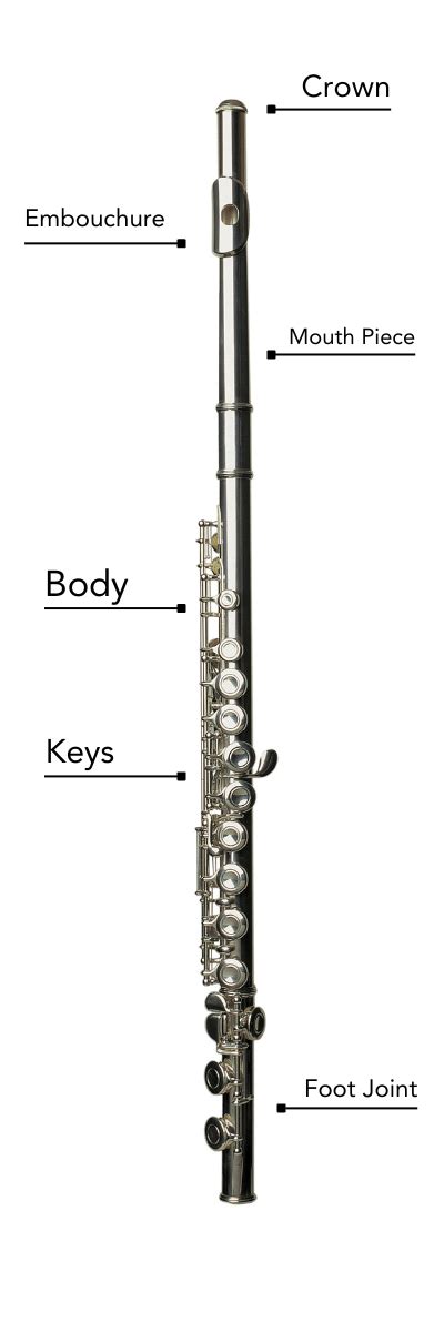 Flute Lessons 的图像结果