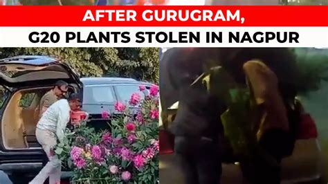 Watch: After Gurugram, youths in Nagpur use luxury car to steal plants ...