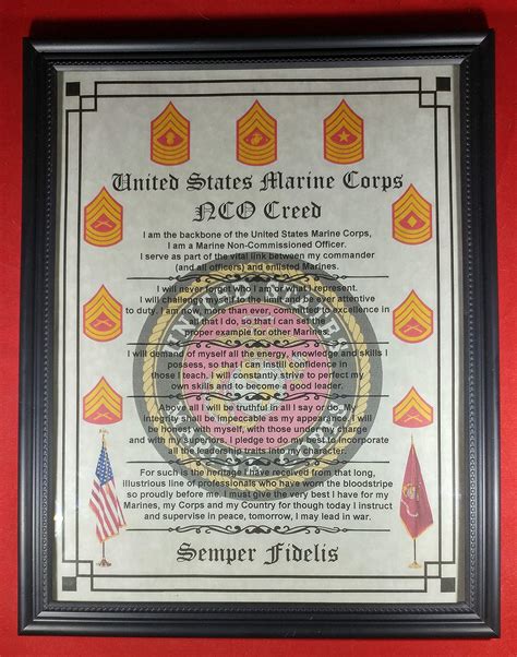 What Is A Marine Nco at Samantha Sternberg blog