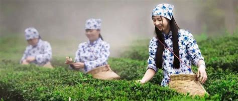 羊城晚报-“中国玉都”历史悠久 揭阳大力发展玉文化产业
