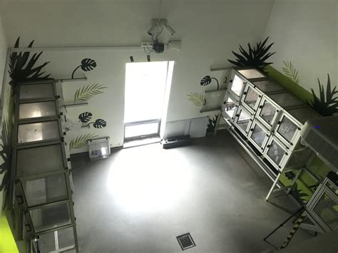 Living links west- interview room - ZooChat