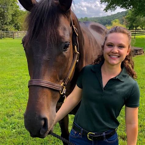 Inguinal (Scrotal) Hernias in Horses: Causes, Risk Factors & Treatment | Mad Barn