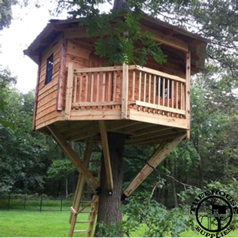 Image result for Tree House Octagonal Building