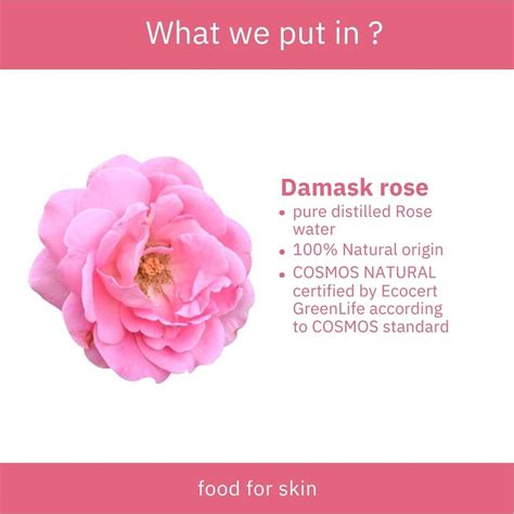 EarthBaby 100% Natural origin Damask Rose Water Spray for Face and Bod ...