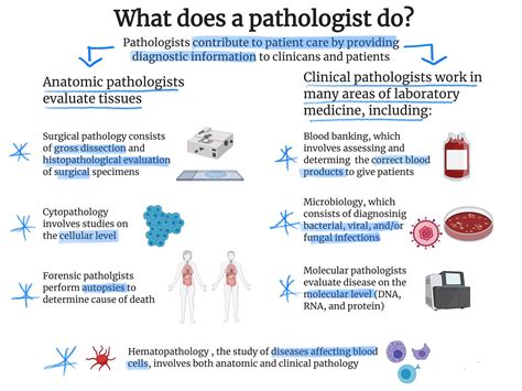 What Is A Pathologist