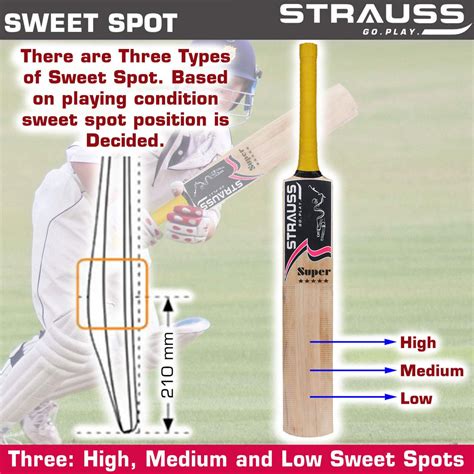 Strauss Cricket Bat | Edition: Stroke | Kashmir Willow | Size: 5 | Ten ...