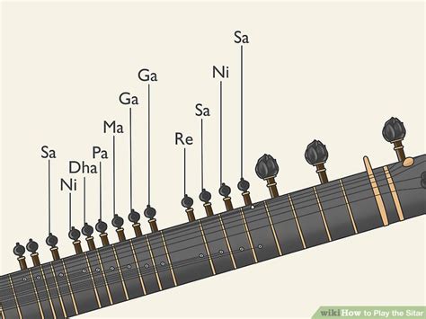 Image result for Basic Sitar