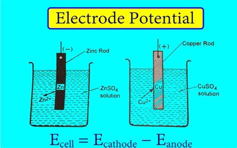 Electric Potential Energy: Definition, Formula and Example | Electrode ...