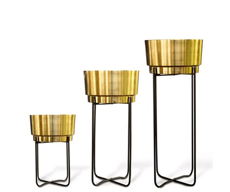 Tips on How to Decorate Your Home With Indoor Plants – TrustBasket