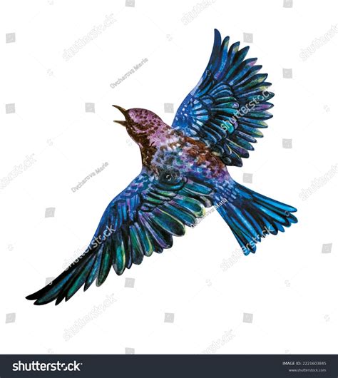 Flying Blue Bird Drawing