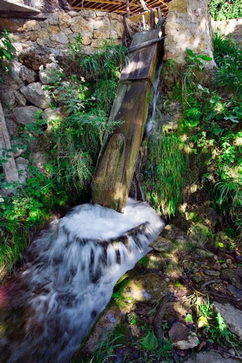 Image result for Nature Washing Machine