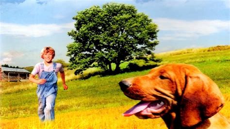 Where the Red Fern Grows (1974) – Movies – Watch online, for FREE!