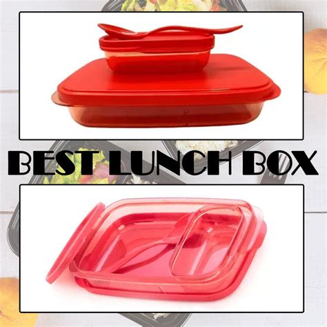 2879 Seal Rectangular 2 Containers Lunch Box - B&T Kustom Designs — DeoDap