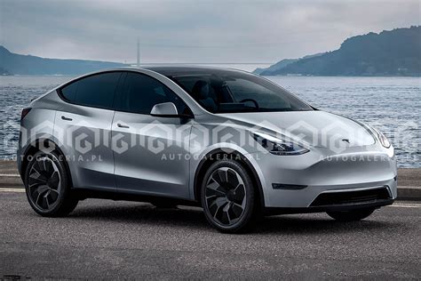 Tesla Model 2 的图像结果