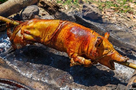 Cebu Lechon 的图像结果