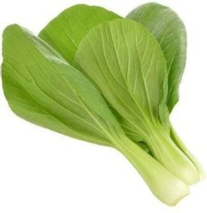 Antier Pak Choi Seed Price in India - Buy Antier Pak Choi Seed online ...