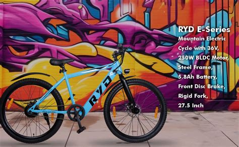 RYDBIKE RYD E2-Series Mountain Electric Cycle with 36V, 250W BLDC Motor ...