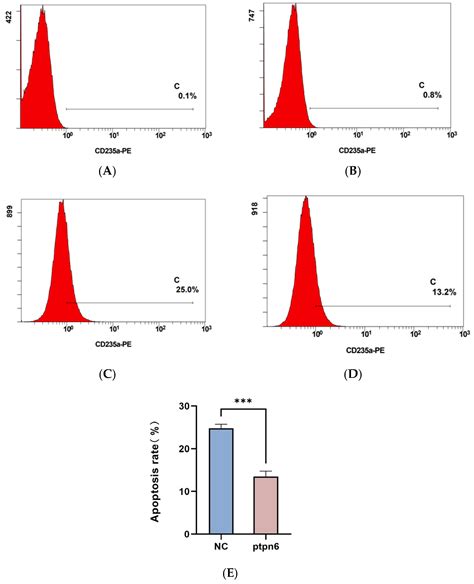 Effects of PTPN6 Gene Knockdown in SKM-1 Cells on Apoptosis, Erythroid ...