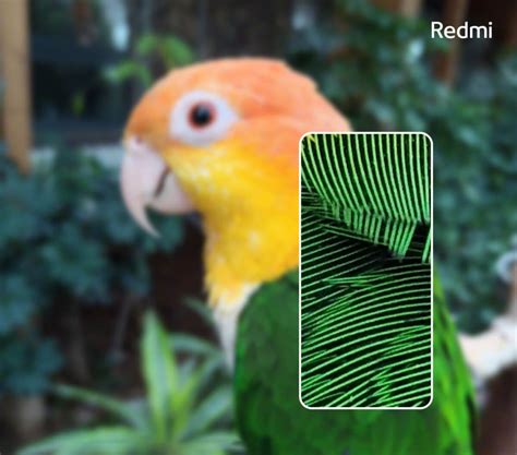 Image result for Redmi Note 8 Camera Features