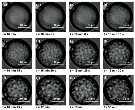 Micron-Sized Thiol-Functional Polysilsesquioxane Microspheres with Open ...