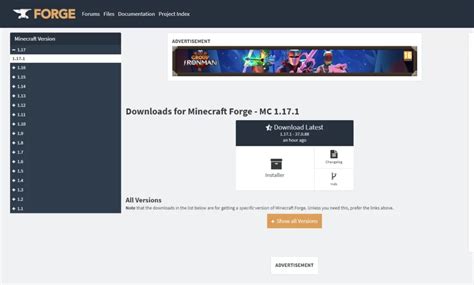 +Install Forge Modloader 的图像结果