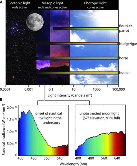 Intensity Range 的图像结果