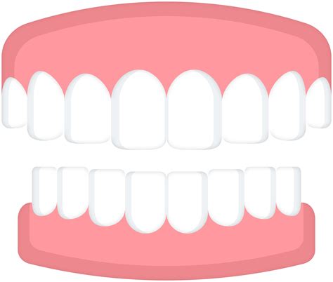 teeth png 10 free Cliparts | Download images on Clipground 2026