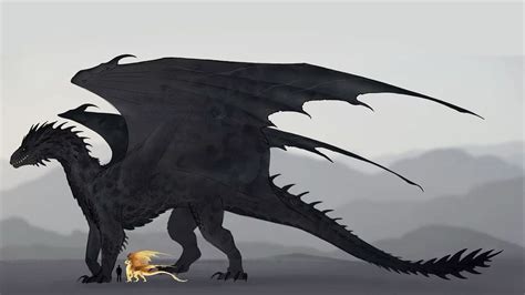 Tairn and Andarna - Fourth Wing | Arte de dragón, Videos de animales ...