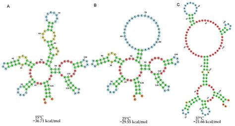 Single-Step Protocol for Isolating the Recombinant Extracellular Domain ...