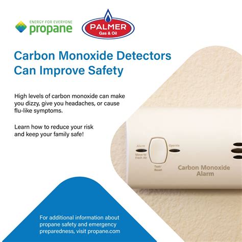 You cannot taste or smell carbon monoxide, but it is a very dangerous ...