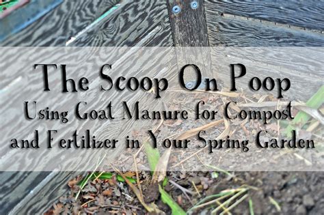 Image result for Goat Poop Fertilizer