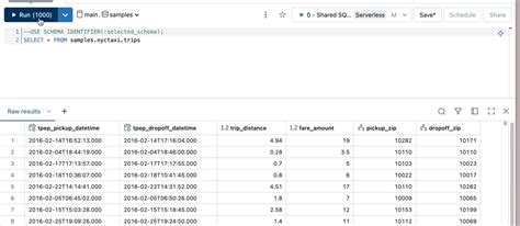 Parameters in Databricks 的图像结果