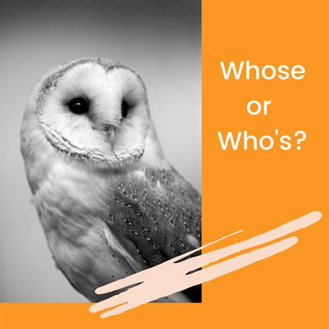 difference between whose and who’s | Grammar Party