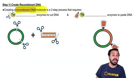 Recombinant DNA 的图像结果