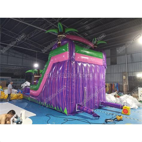 Image result for Advert Inflatable Water Slide Pool