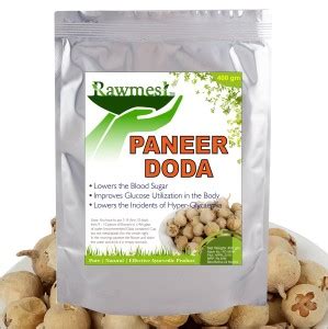 Rawmest Paneer DODI | Indian Rennet | Paneer Doda | Paneer Ka Phool ...