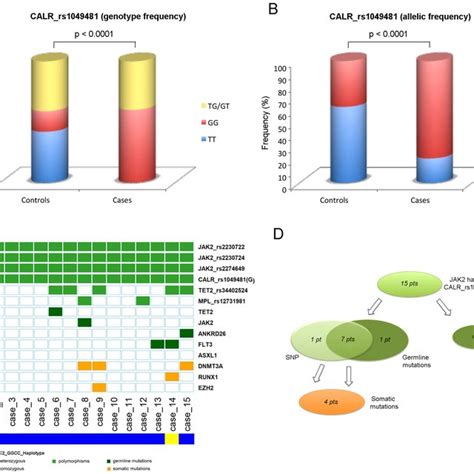 Variants Library NGS 的图像结果